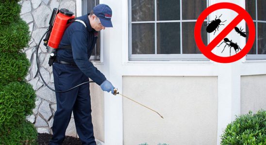 Kuyucak Gümüşkurt İlaçlama böcek ilaçlama ve haşere kontrolü — ilaclama-tr.com
